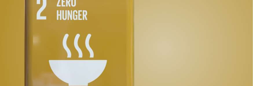 Giornata mondiale dell’alimentazione: stato attuale e obiettivi dell’agenda 2030