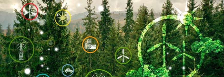 Come le aziende possono contribuire al raggiungimento degli SDG