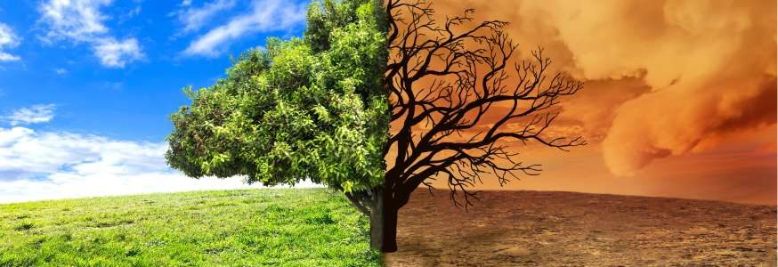 La lotta contro il cambiamento climatico: l’SDG 13 e l’impegno globale per il clima