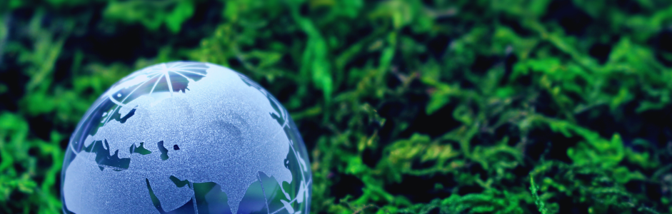 La diplomazia ambientale: come gli accordi internazionali possono contrastare la crisi climatica