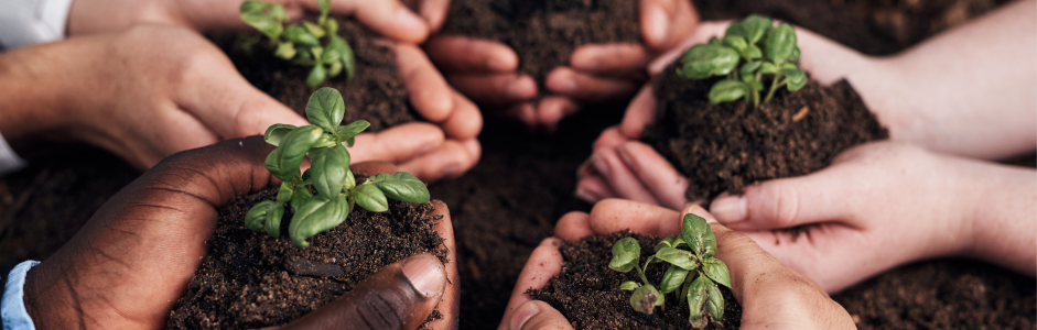 Bilancio partecipativo e cittadinanza attiva: strumenti locali per l’Agenda 2030