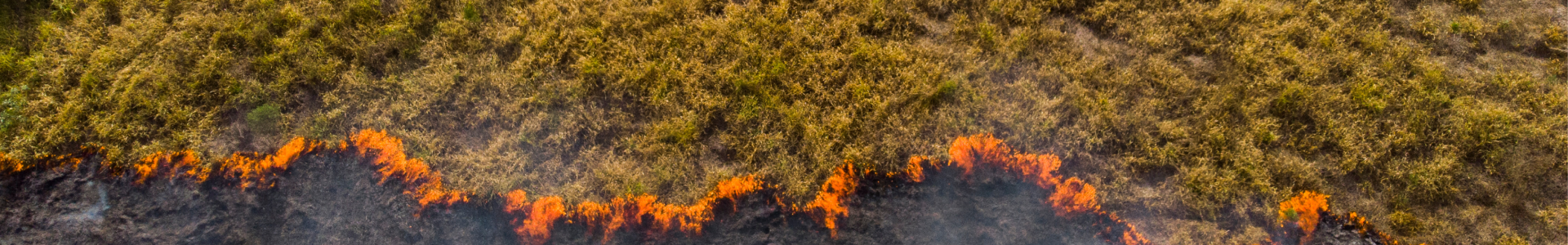 Migrazioni climatiche: il ruolo della cooperazione internazionale