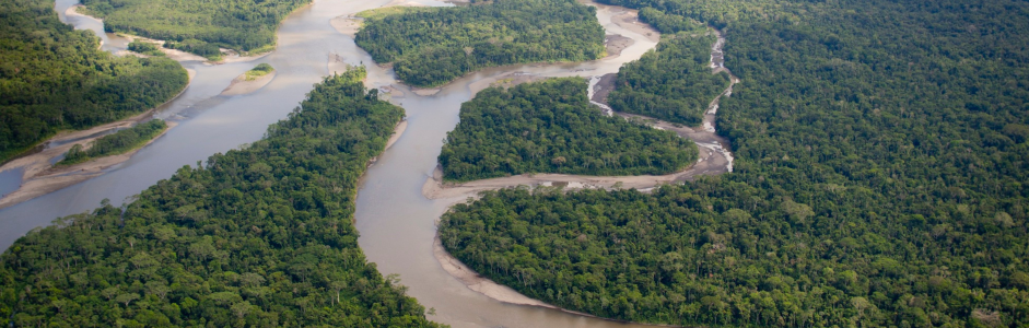 Culture indigene e difesa dell’ambiente: tradizioni, conoscenze e conflitti territoriali