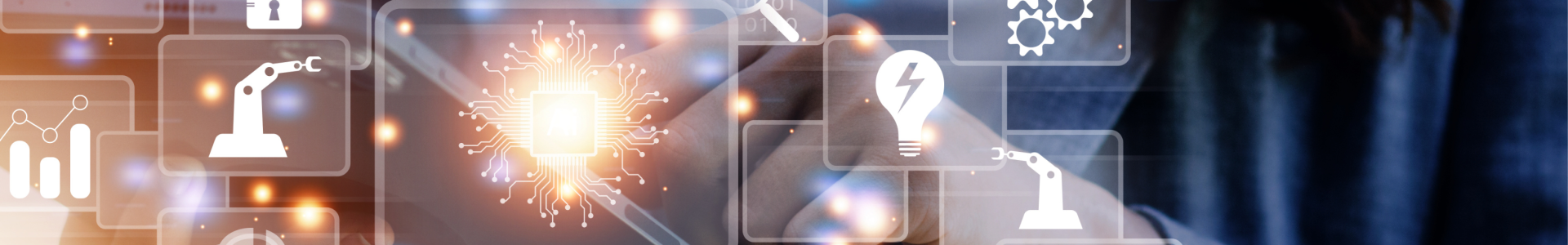 Identità digitali e diritti umani: biometria, sorveglianza e privacy nel mondo globale