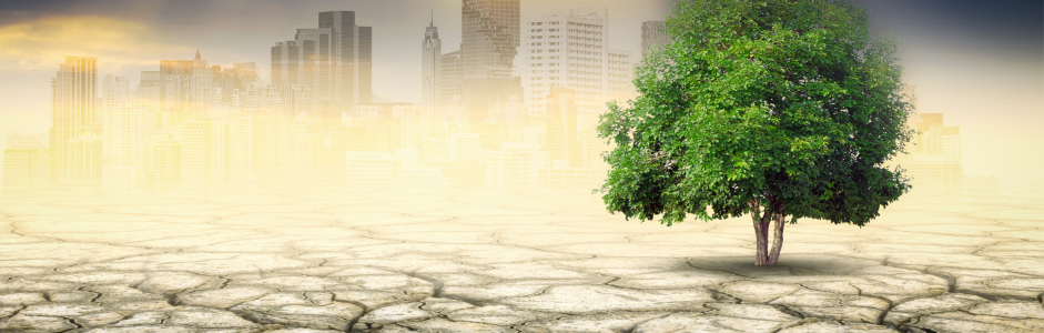 Città climaticamente resilienti: quando l’adattamento diventa governance