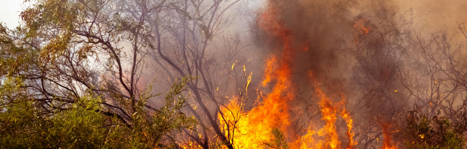 Clima e conflitti locali: quando l’ambiente genera instabilità sociale