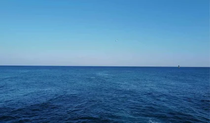 Risorse marine Mediterraneo | Roberto Raimondi