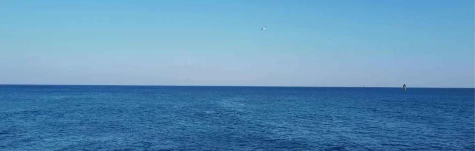 La gestione sostenibile delle risorse marine come fattore di pacificazione nel bacino mediterraneo